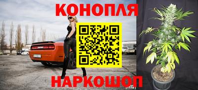 прущие крисы Усть-Илимск
