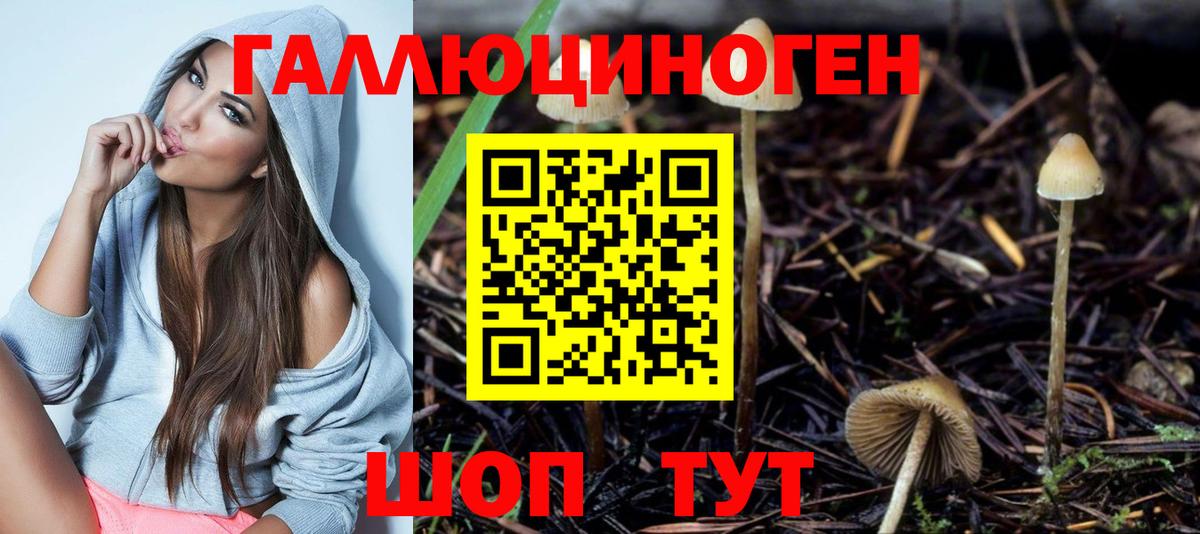 Галлюциногенные грибы Psilocybe Павлово