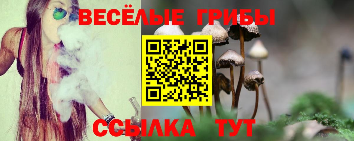 Павлово  Псилоцибиновые грибы прущие грибы  Галлюциногенные грибы мухоморы  Вход с VPN 